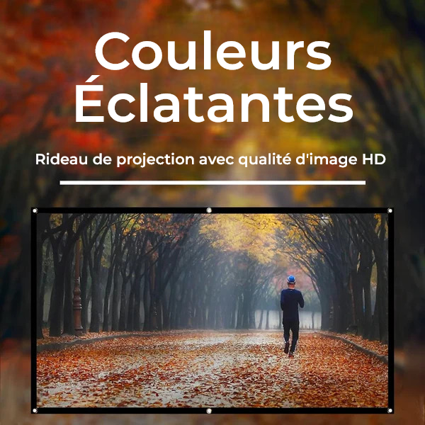 Rideau de projection d'écran portable, affichage HD, 60 à 150 pouces